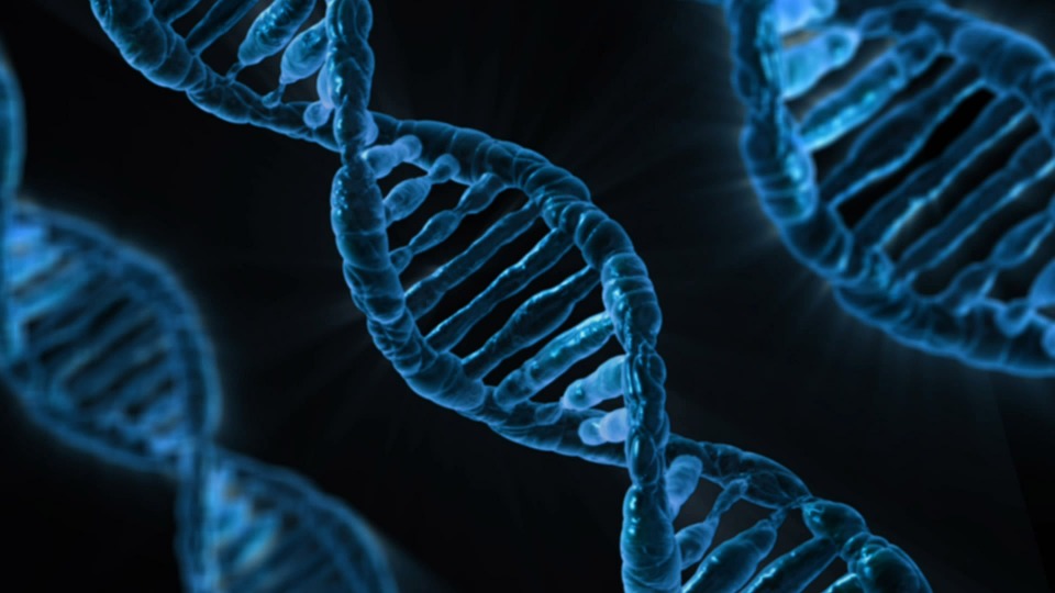 3 Questions to Reveal Your Entrepreneurial DNA